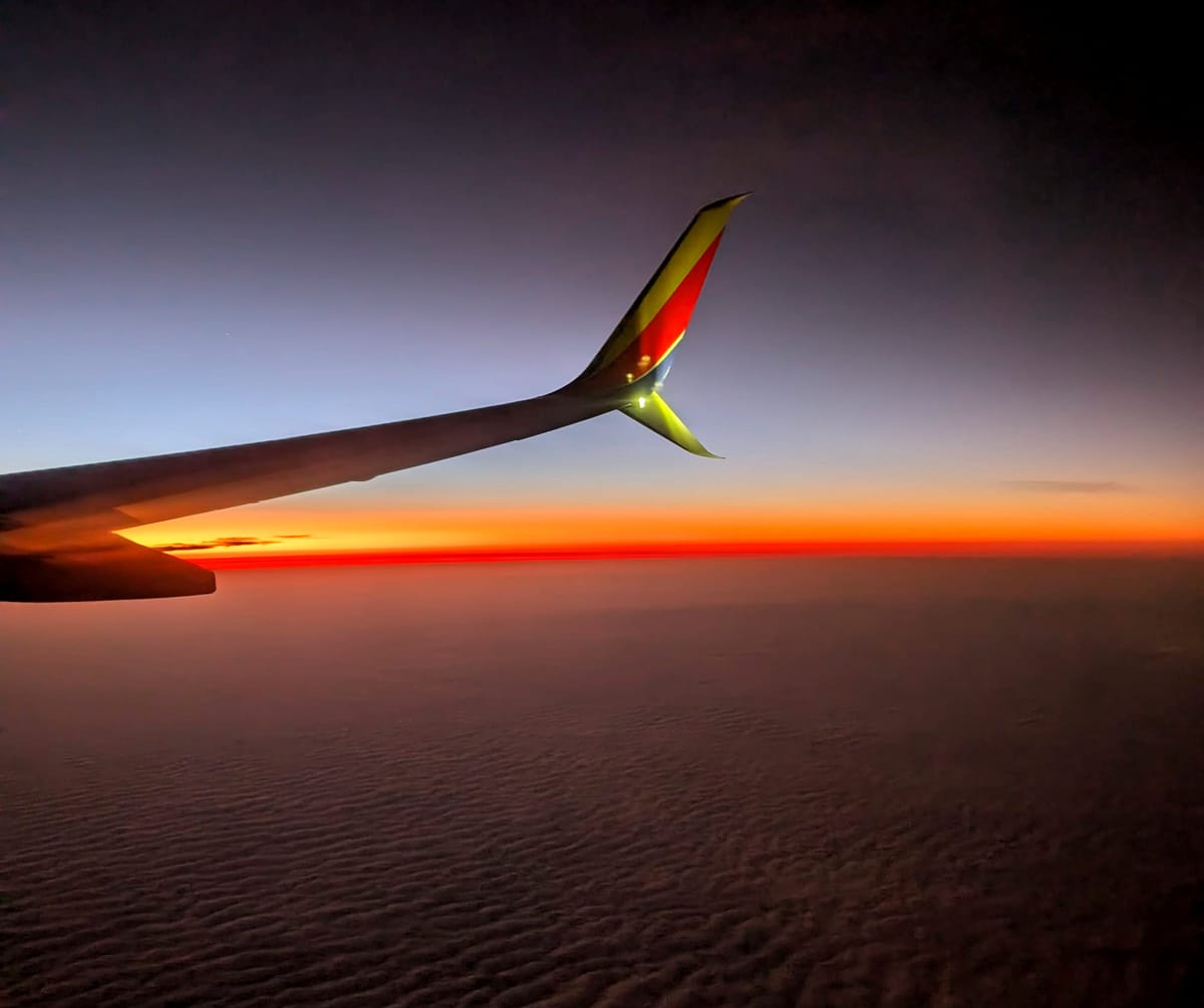 Random Food Review (NYC)